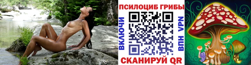 блэк спрут ТОР  Тюкалинск  Галлюциногенные грибы мухоморы 